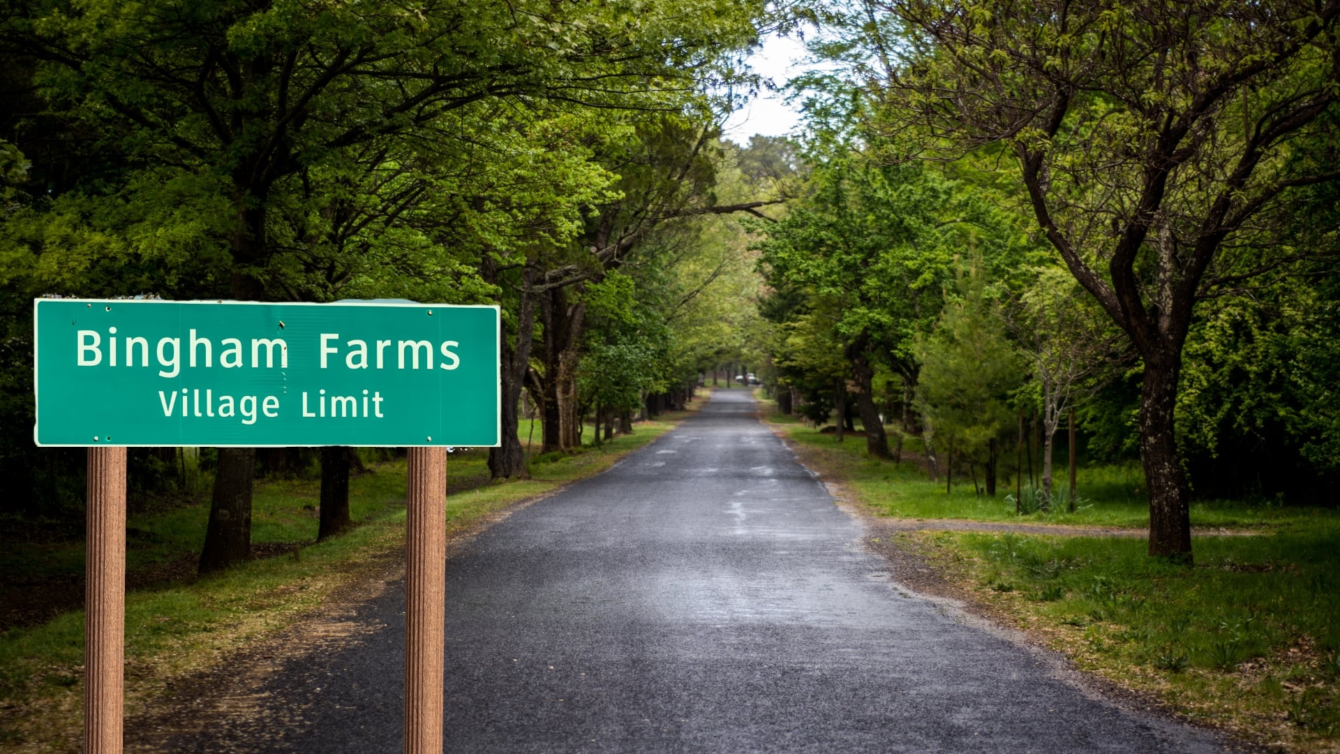 You NEED To Know This About Bingham Farms …