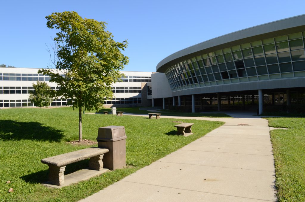 Ferndale, Michigan school