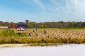 Freedom Township, Michigan