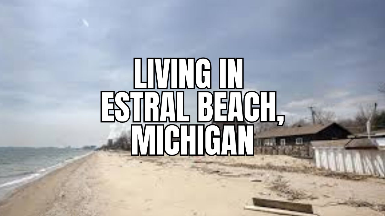 Before You Move to Estral Beach, Michigan: The Stuff Locals Wish You Knew