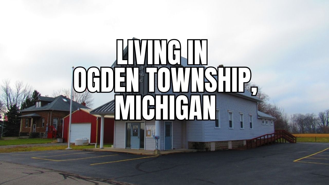 Livinginmichigan blogs (79)