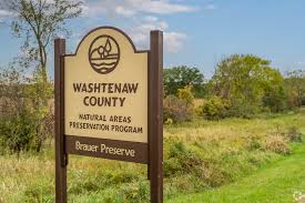 Lodi Township, Michigan