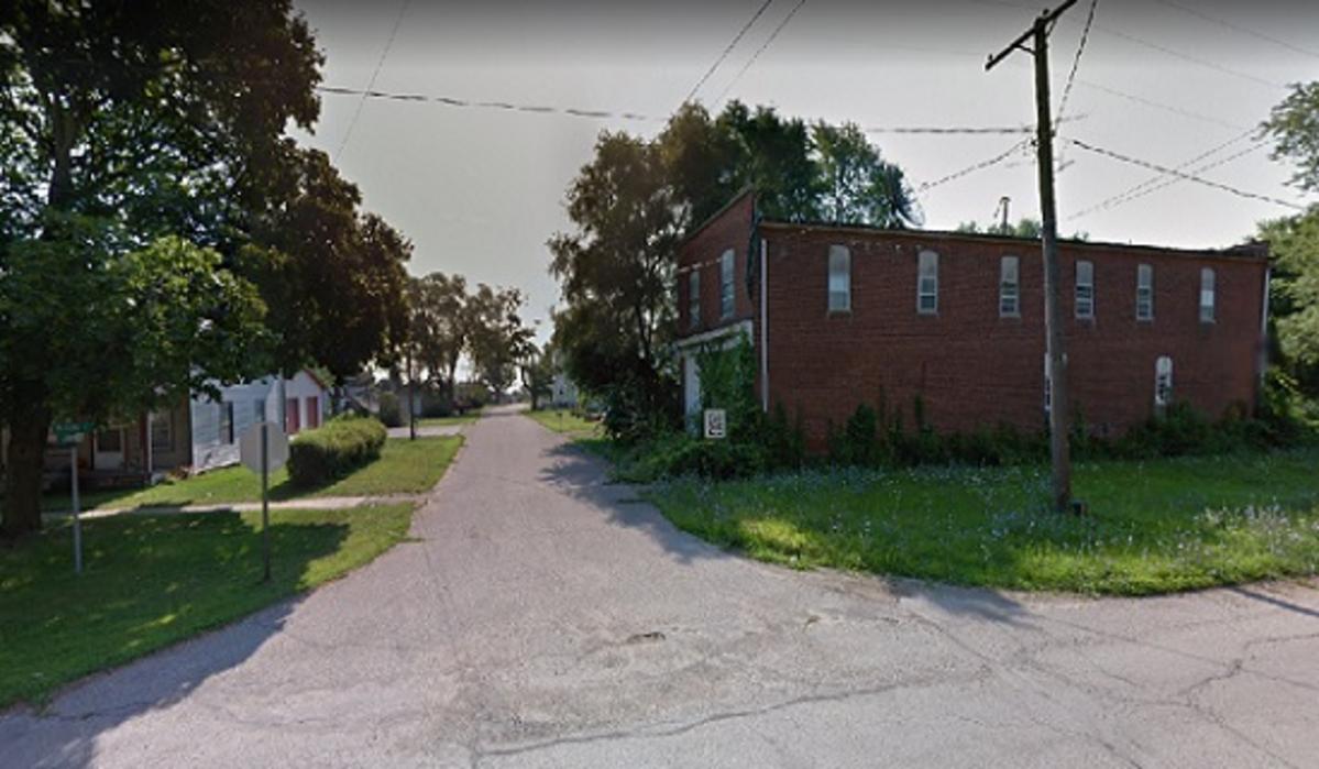 Palmyra Township, Michigan