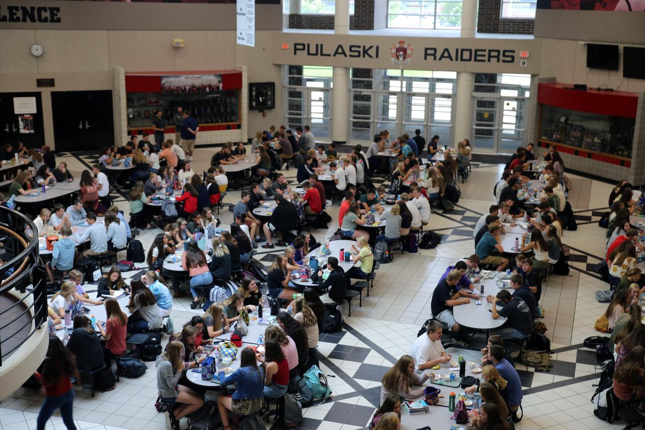 Pulaski Township, Michigan school