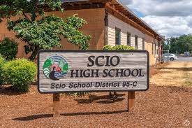 Scio Township, Michigan school