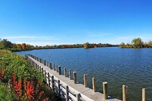 Wayne County Belleville community page