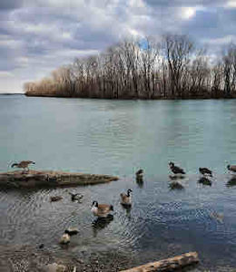 Dingell Park Ecorse Michigan