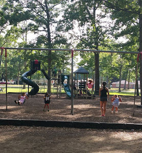 Garden City Park Garden City MI