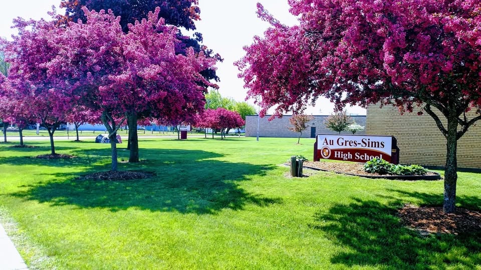 Au Gres, Michigan school
