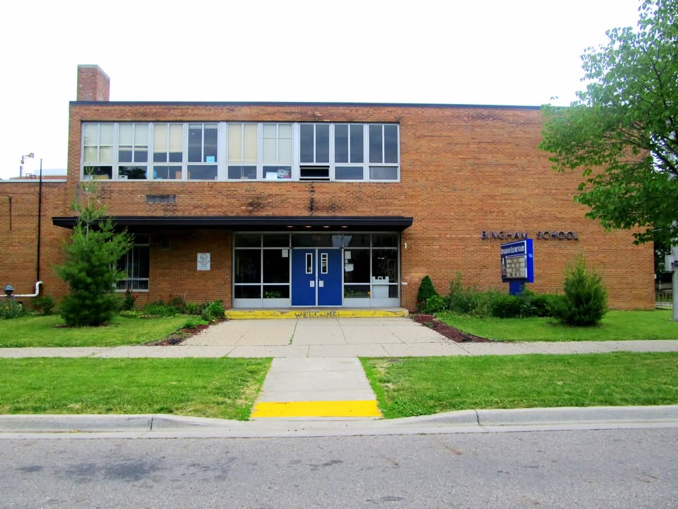 Bingham Township, Michigan school