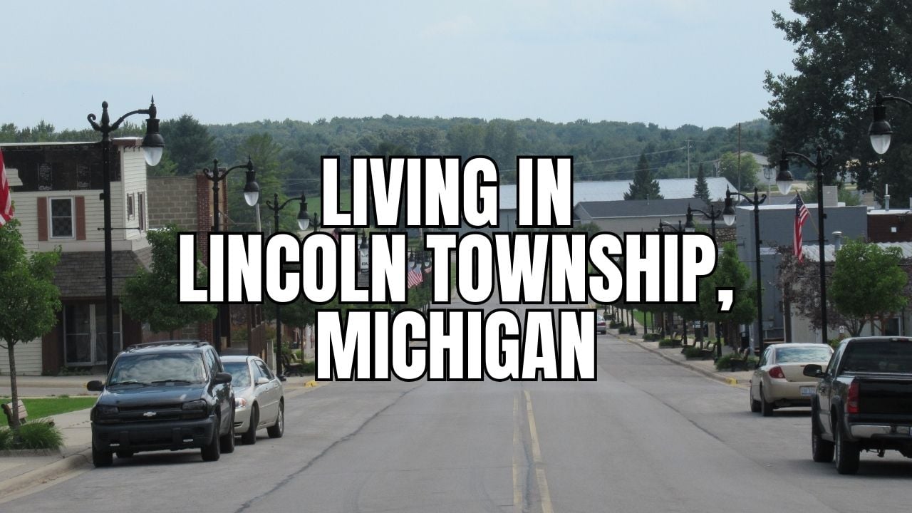 The Truth About Lincoln Township (Arenac County), Michigan: &hellip;