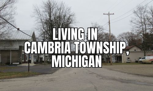 Before You Move to Cambria Township, Michigan: The …