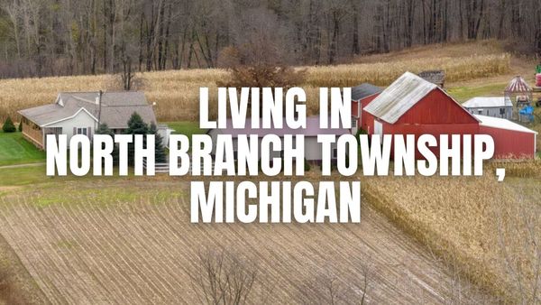 North Branch Township, Michigan Relocation Guide: Vibe, Housing, &hellip;