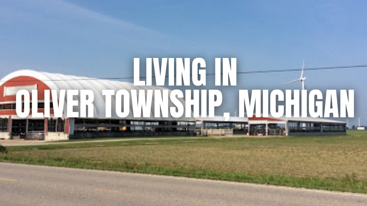 Oliver Township (Huron County), Michigan: Best Neighborhood Pockets + Pros/Cons for Newcomers — Should You Move Here?
