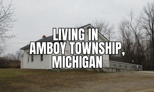 Amboy Township, Michigan Relocation Guide: Vibe, Housing, Amenities …