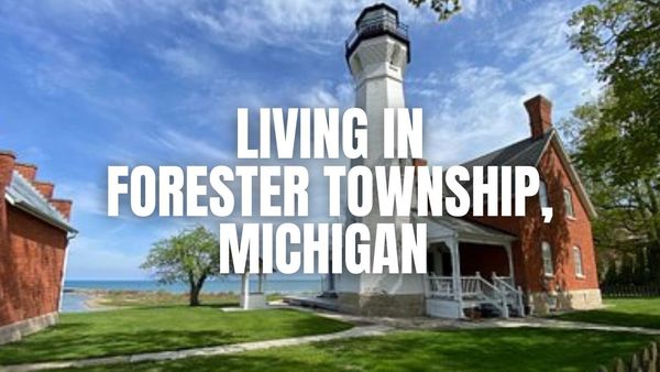 Thinking About Forester Township, Michigan? A practical guide
