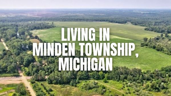 Before You Move to Minden Township, Michigan: The &hellip;