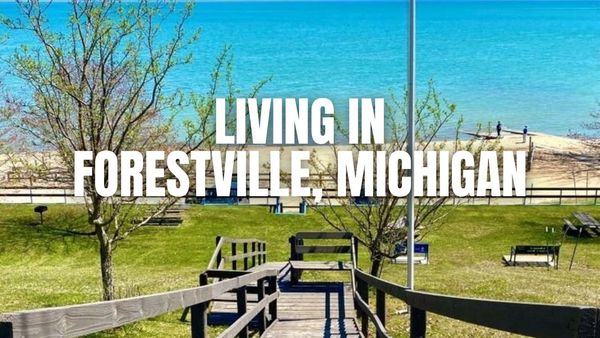 Before You Move to Forestville, Michigan: The Stuff &hellip;