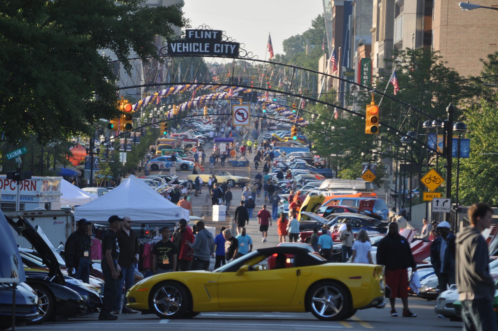 Montrose Township, Michigan