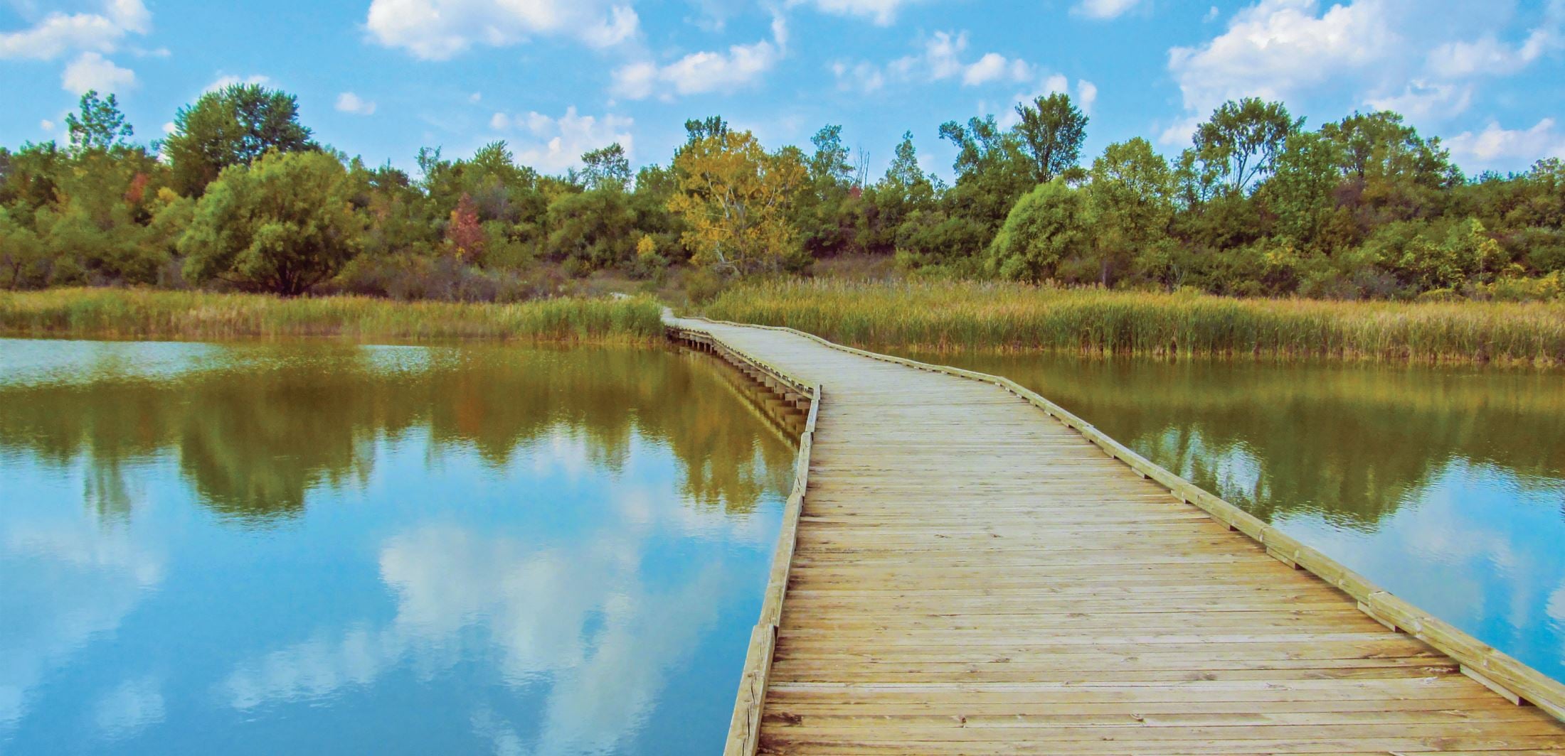 Pittsford Township, Michigan