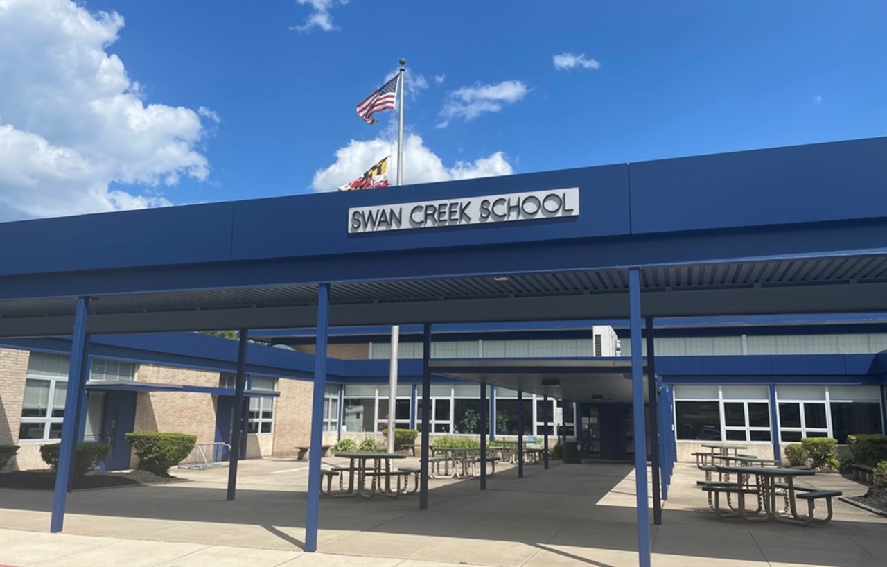Swan Creek Township, Michigan school