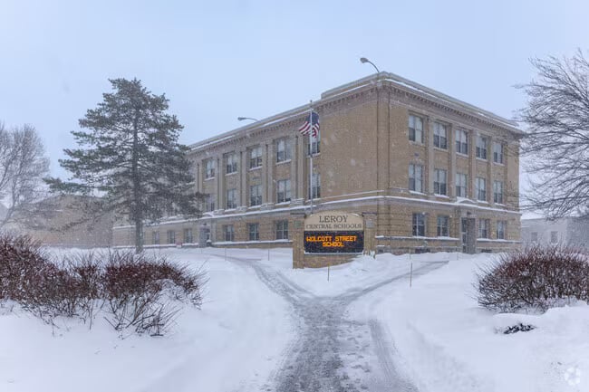 Leroy Township school (1)