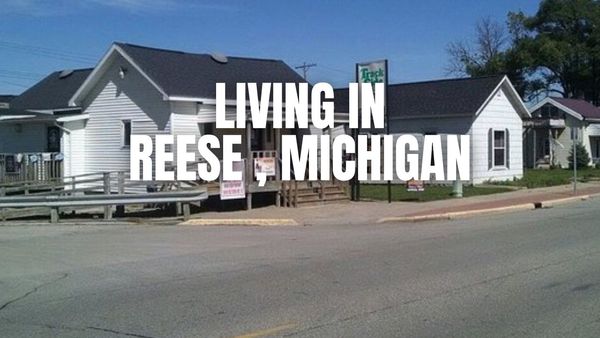 Living in Reese, Michigan: Pros, Cons, Cost of &hellip;
