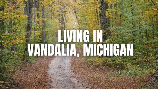 Vandalia, Michigan: Best Neighborhood Pockets + Pros/Cons for &hellip;