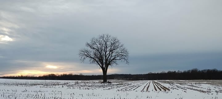 Cheshire Township, Michigan