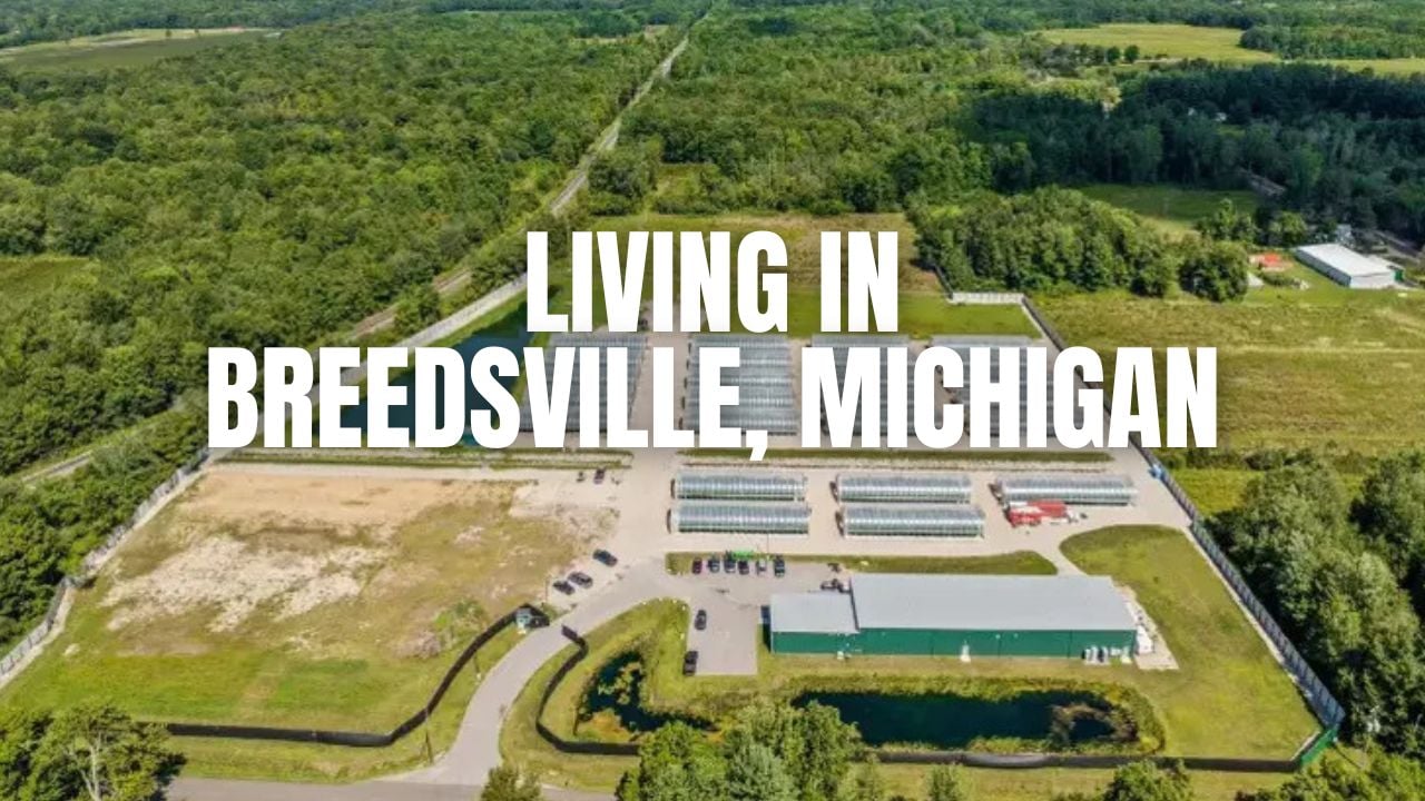 Breedsville, Michigan Living Guide: The Ultimate living guide