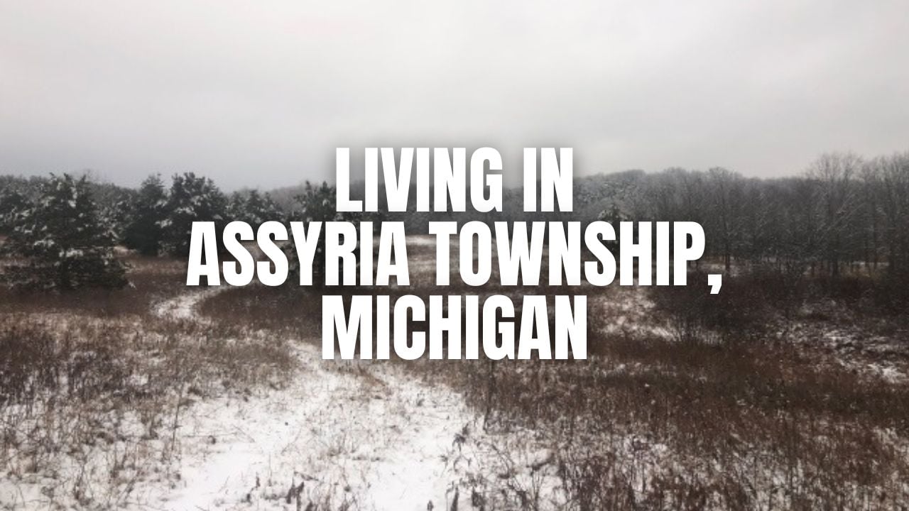 Assyria Township, Michigan: Best Neighborhood Pockets + Pros/Cons &hellip;