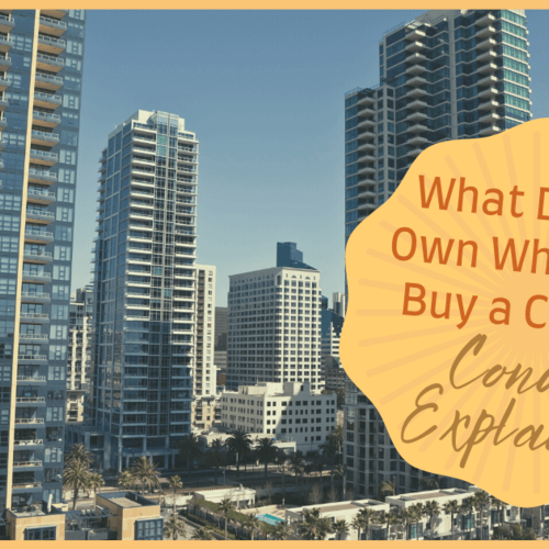 What Do You Own When You Buy a Condo? Condo Investments Explained