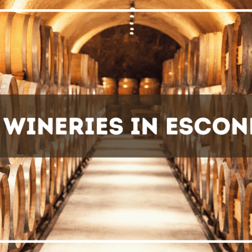 6 Best Wineries in Escondido: Experience Escondido Vineyards & Wine Tastings Near San Diego