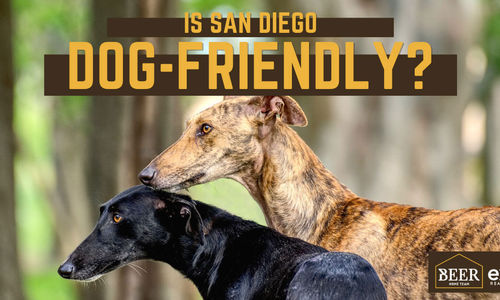 Dog-Friendly San Diego: 9 Things to Do in San Diego Wit&hellip;