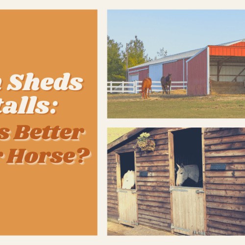 Run In Sheds vs. Horse Stalls: Which Is the Better Shelter For Your Horses?