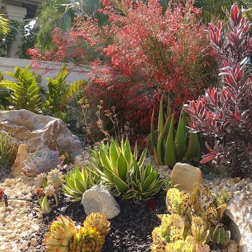 What is Xeriscaping? The Complete Guide to Natural Landscaping in Arid Climates [2023]