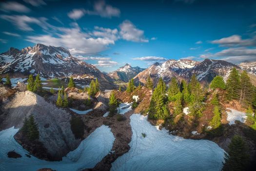 Alpine Homes For Sale