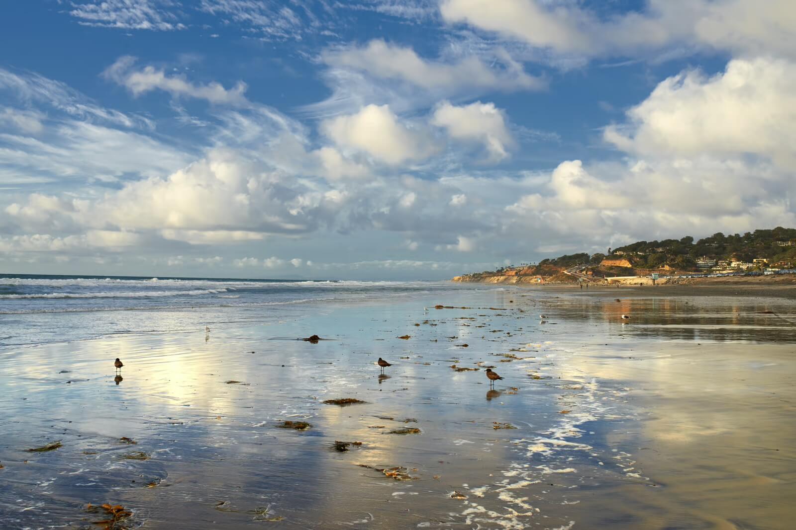 Del Mar Homes For Sale