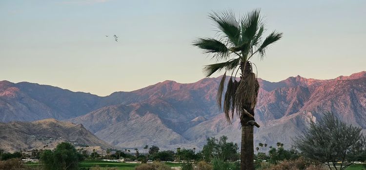 Indio Homes For Sale