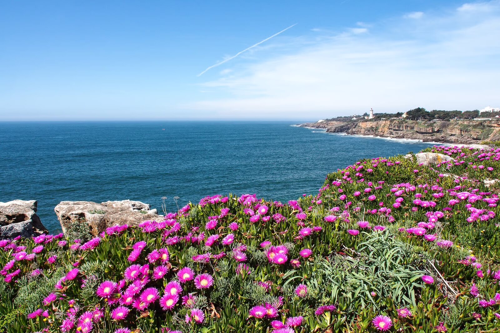 La Jolla Homes For Sale