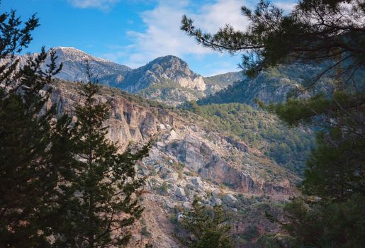 Mountain Center Homes For Sale