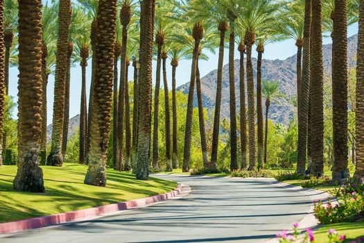 Palm Springs Homes For Sale
