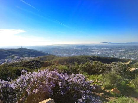 Perris Homes For Sale