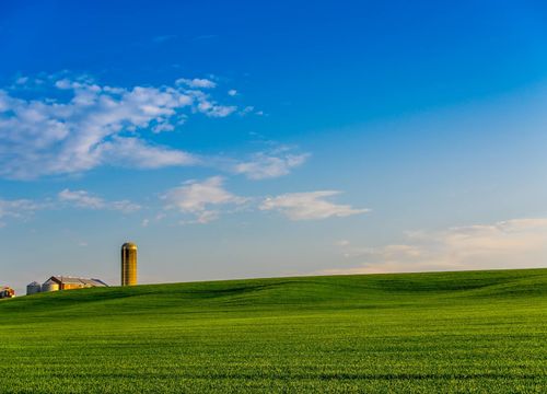 Farm land in South Western Ontario Canada with blue sky and green field and silo with barns (1)