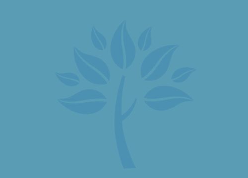 area-placeholder-featured-image