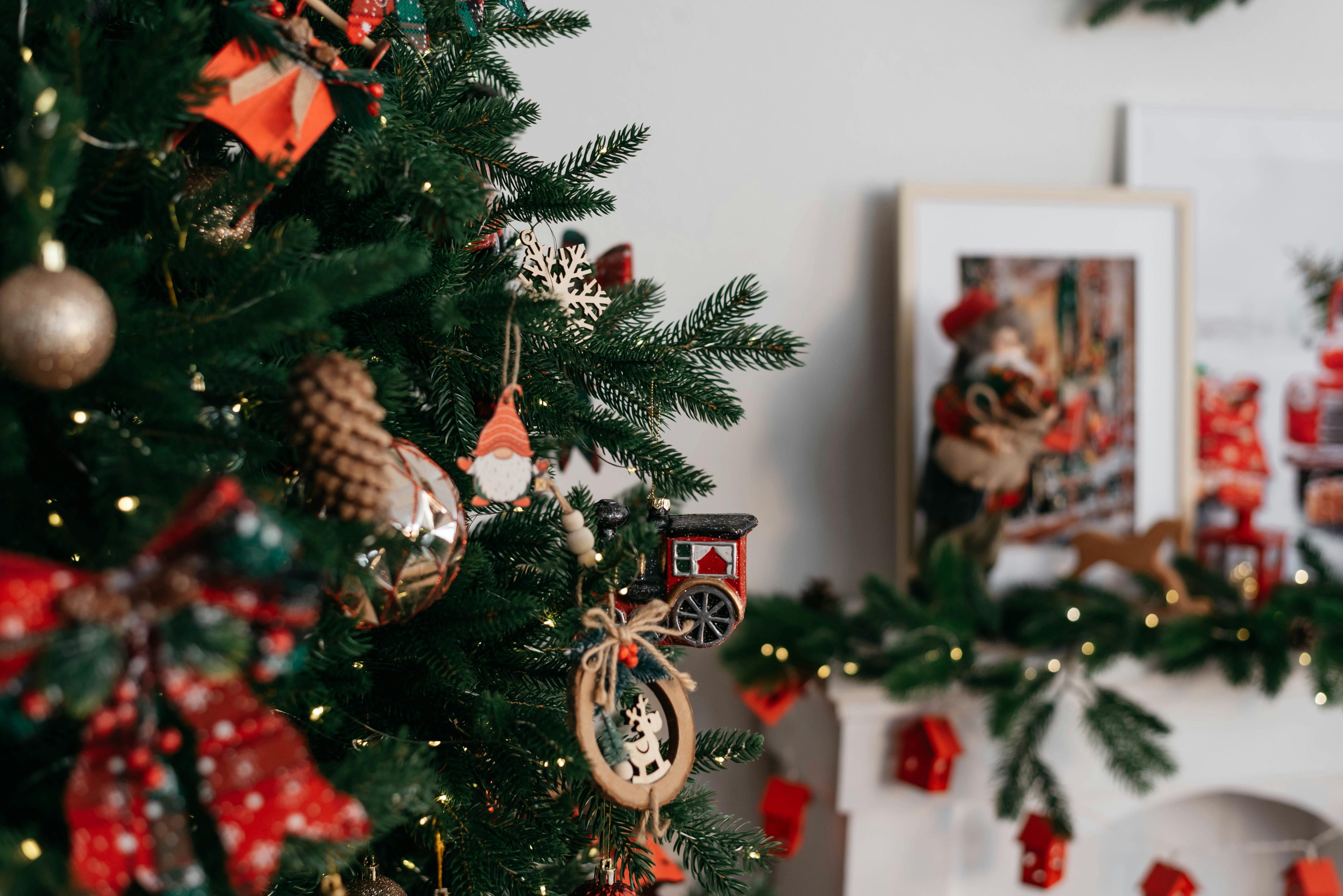 pexels-84330351-35148256