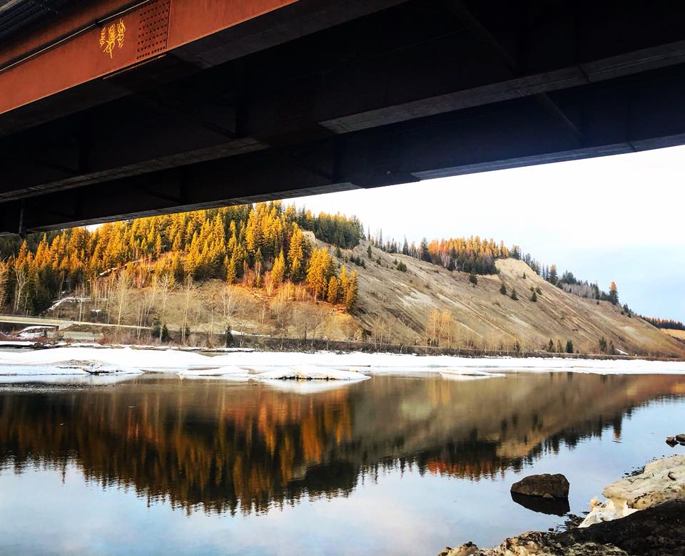 Comprehensive Market