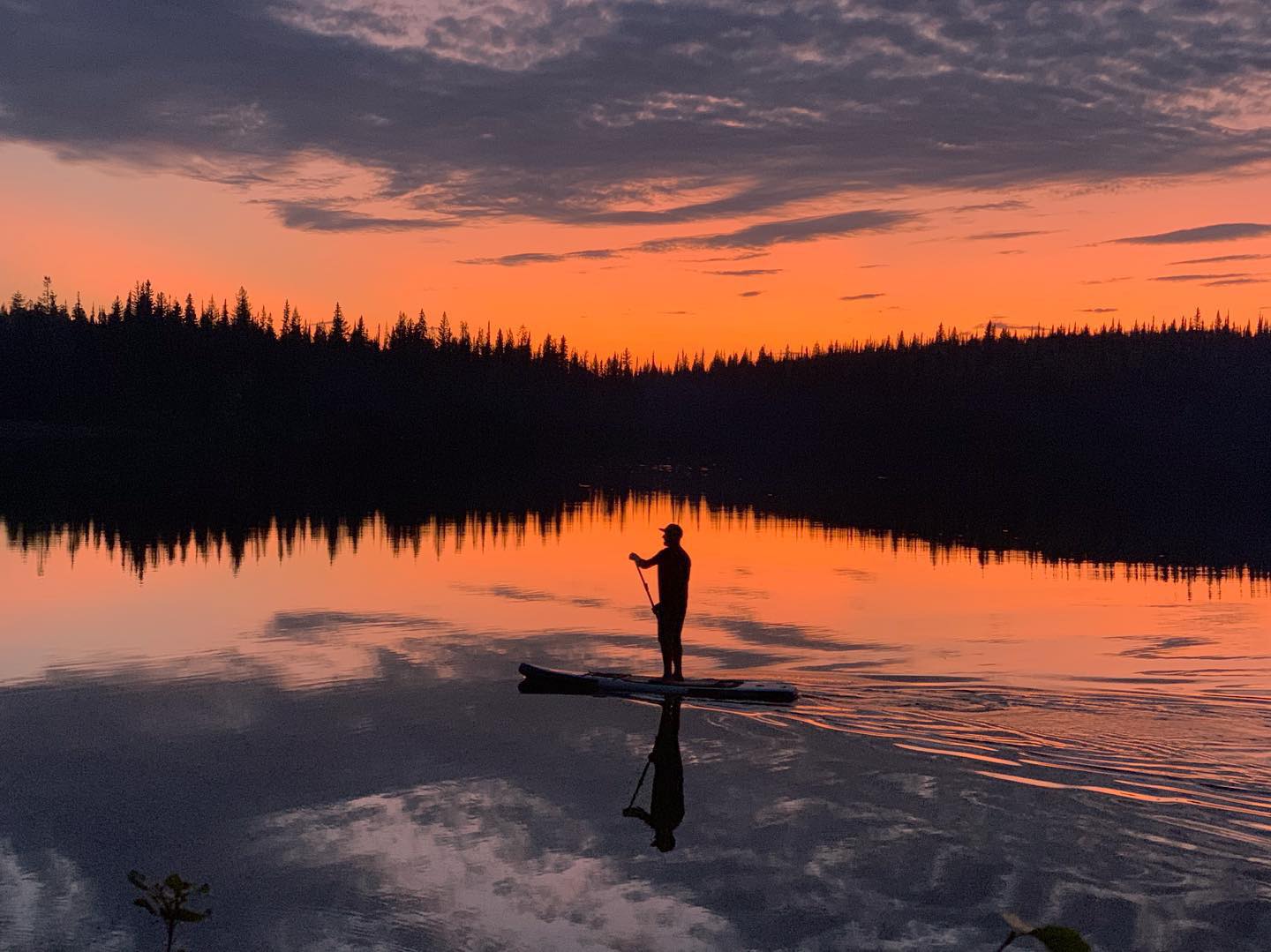 Targeted Digital Advertising