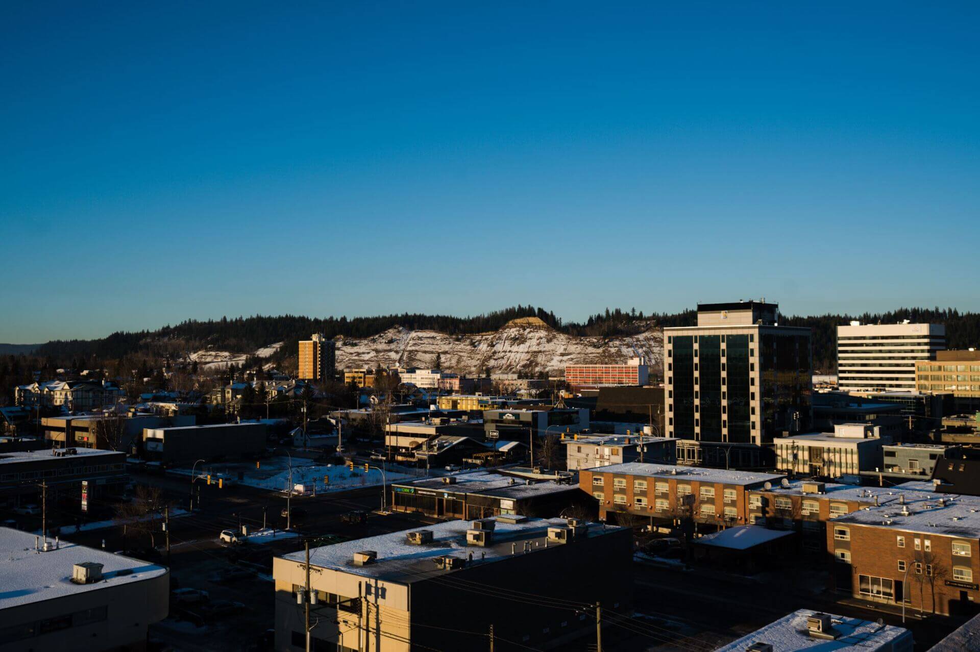 Client Success Leader