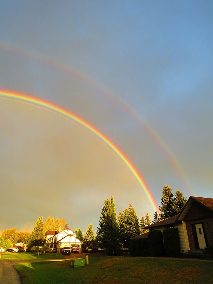 Local Market Expertise